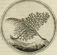 Picture 38 of 544 from Symboloru[m] & emblematum ex re herbaria desumtorum centuria vna[-quarta] collecta (1654), leaf 52