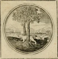 Picture 386 of 544 from Symboloru[m] & emblematum ex re herbaria desumtorum centuria vna[-quarta] collecta (1654), leaf 530
