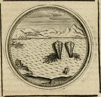 Picture 389 of 544 from Symboloru[m] & emblematum ex re herbaria desumtorum centuria vna[-quarta] collecta (1654), leaf 536