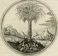 Picture 40 of 544 from Symboloru[m] & emblematum ex re herbaria desumtorum centuria vna[-quarta] collecta (1654), leaf 54