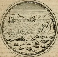 Picture 391 of 544 from Symboloru[m] & emblematum ex re herbaria desumtorum centuria vna[-quarta] collecta (1654), leaf 540