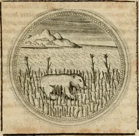 Picture 396 of 544 from Symboloru[m] & emblematum ex re herbaria desumtorum centuria vna[-quarta] collecta (1654), leaf 550