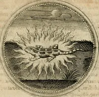Picture 400 of 544 from Symboloru[m] & emblematum ex re herbaria desumtorum centuria vna[-quarta] collecta (1654), leaf 558