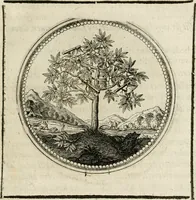Picture 42 of 544 from Symboloru[m] & emblematum ex re herbaria desumtorum centuria vna[-quarta] collecta (1654), leaf 56