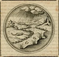 Picture 401 of 544 from Symboloru[m] & emblematum ex re herbaria desumtorum centuria vna[-quarta] collecta (1654), leaf 560