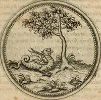 Picture 409 of 544 from Symboloru[m] & emblematum ex re herbaria desumtorum centuria vna[-quarta] collecta (1654), leaf 576