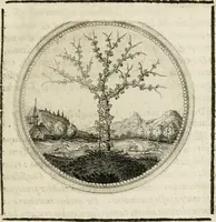 Picture 44 of 544 from Symboloru[m] & emblematum ex re herbaria desumtorum centuria vna[-quarta] collecta (1654), leaf 58