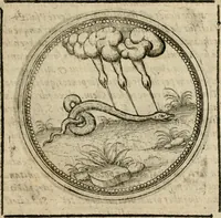 Picture 415 of 544 from Symboloru[m] & emblematum ex re herbaria desumtorum centuria vna[-quarta] collecta (1654), leaf 588