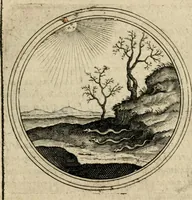 Picture 418 of 544 from Symboloru[m] & emblematum ex re herbaria desumtorum centuria vna[-quarta] collecta (1654), leaf 594