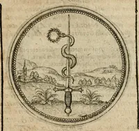 Picture 419 of 544 from Symboloru[m] & emblematum ex re herbaria desumtorum centuria vna[-quarta] collecta (1654), leaf 596