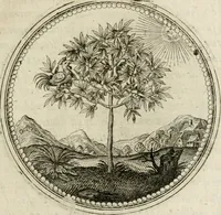 Picture 46 of 544 from Symboloru[m] & emblematum ex re herbaria desumtorum centuria vna[-quarta] collecta (1654), leaf 60