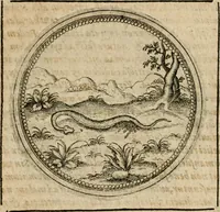 Picture 422 of 544 from Symboloru[m] & emblematum ex re herbaria desumtorum centuria vna[-quarta] collecta (1654), leaf 602