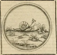 Picture 429 of 544 from Symboloru[m] & emblematum ex re herbaria desumtorum centuria vna[-quarta] collecta (1654), leaf 616