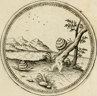 Picture 431 of 544 from Symboloru[m] & emblematum ex re herbaria desumtorum centuria vna[-quarta] collecta (1654), leaf 620