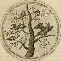 Picture 441 of 544 from Symboloru[m] & emblematum ex re herbaria desumtorum centuria vna[-quarta] collecta (1654), leaf 636