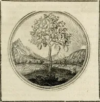 Picture 50 of 544 from Symboloru[m] & emblematum ex re herbaria desumtorum centuria vna[-quarta] collecta (1654), leaf 64