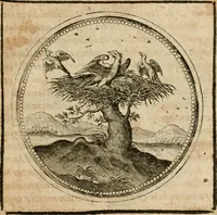 Picture 448 of 544 from Symboloru[m] & emblematum ex re herbaria desumtorum centuria vna[-quarta] collecta (1654), leaf 648