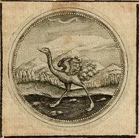 An illustration from Symboloru[m] & emblematum ex re herbaria desumtorum centuria vna[-quarta] collecta (1654)