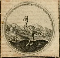 Picture 457 of 544 from Symboloru[m] & emblematum ex re herbaria desumtorum centuria vna[-quarta] collecta (1654), leaf 664