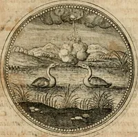 Picture 461 of 544 from Symboloru[m] & emblematum ex re herbaria desumtorum centuria vna[-quarta] collecta (1654), leaf 674