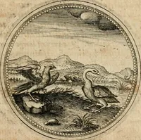 An illustration from Symboloru[m] & emblematum ex re herbaria desumtorum centuria vna[-quarta] collecta (1654)