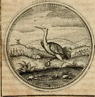 Picture 464 of 544 from Symboloru[m] & emblematum ex re herbaria desumtorum centuria vna[-quarta] collecta (1654), leaf 680