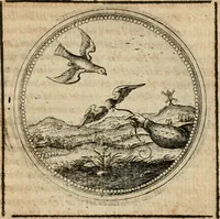 Picture 466 of 544 from Symboloru[m] & emblematum ex re herbaria desumtorum centuria vna[-quarta] collecta (1654), leaf 684