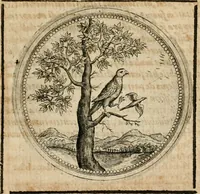 Picture 468 of 544 from Symboloru[m] & emblematum ex re herbaria desumtorum centuria vna[-quarta] collecta (1654), leaf 686