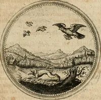 Picture 473 of 544 from Symboloru[m] & emblematum ex re herbaria desumtorum centuria vna[-quarta] collecta (1654), leaf 696
