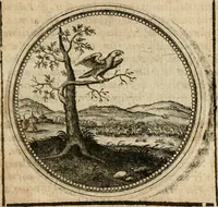Picture 474 of 544 from Symboloru[m] & emblematum ex re herbaria desumtorum centuria vna[-quarta] collecta (1654), leaf 698