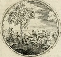 Picture 56 of 544 from Symboloru[m] & emblematum ex re herbaria desumtorum centuria vna[-quarta] collecta (1654), leaf 70