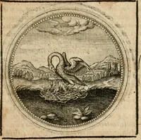 Picture 476 of 544 from Symboloru[m] & emblematum ex re herbaria desumtorum centuria vna[-quarta] collecta (1654), leaf 700