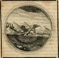 Picture 478 of 544 from Symboloru[m] & emblematum ex re herbaria desumtorum centuria vna[-quarta] collecta (1654), leaf 702