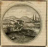 Picture 479 of 544 from Symboloru[m] & emblematum ex re herbaria desumtorum centuria vna[-quarta] collecta (1654), leaf 704