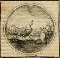 Picture 485 of 544 from Symboloru[m] & emblematum ex re herbaria desumtorum centuria vna[-quarta] collecta (1654), leaf 714