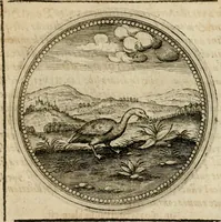 Picture 489 of 544 from Symboloru[m] & emblematum ex re herbaria desumtorum centuria vna[-quarta] collecta (1654), leaf 722