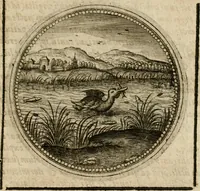 An illustration from Symboloru[m] & emblematum ex re herbaria desumtorum centuria vna[-quarta] collecta (1654)