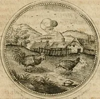 Picture 492 of 544 from Symboloru[m] & emblematum ex re herbaria desumtorum centuria vna[-quarta] collecta (1654), leaf 728