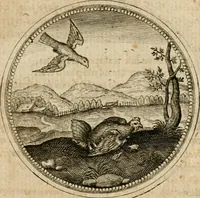 Picture 493 of 544 from Symboloru[m] & emblematum ex re herbaria desumtorum centuria vna[-quarta] collecta (1654), leaf 730