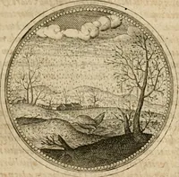 Picture 494 of 544 from Symboloru[m] & emblematum ex re herbaria desumtorum centuria vna[-quarta] collecta (1654), leaf 732