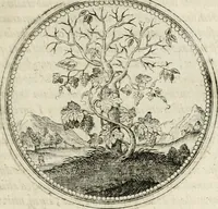 Picture 60 of 544 from Symboloru[m] & emblematum ex re herbaria desumtorum centuria vna[-quarta] collecta (1654), leaf 74