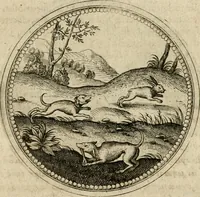Picture 501 of 544 from Symboloru[m] & emblematum ex re herbaria desumtorum centuria vna[-quarta] collecta (1654), leaf 744