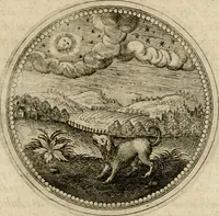 Picture 503 of 544 from Symboloru[m] & emblematum ex re herbaria desumtorum centuria vna[-quarta] collecta (1654), leaf 748