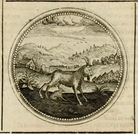 Picture 507 of 544 from Symboloru[m] & emblematum ex re herbaria desumtorum centuria vna[-quarta] collecta (1654), leaf 756