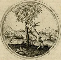 Picture 509 of 544 from Symboloru[m] & emblematum ex re herbaria desumtorum centuria vna[-quarta] collecta (1654), leaf 760