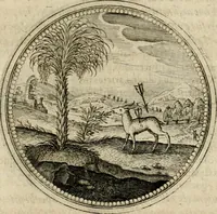 Picture 511 of 544 from Symboloru[m] & emblematum ex re herbaria desumtorum centuria vna[-quarta] collecta (1654), leaf 764