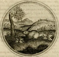Picture 516 of 544 from Symboloru[m] & emblematum ex re herbaria desumtorum centuria vna[-quarta] collecta (1654), leaf 772