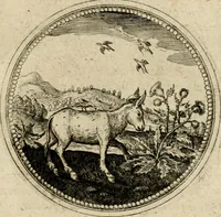 Picture 518 of 544 from Symboloru[m] & emblematum ex re herbaria desumtorum centuria vna[-quarta] collecta (1654), leaf 776