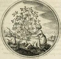 Picture 64 of 544 from Symboloru[m] & emblematum ex re herbaria desumtorum centuria vna[-quarta] collecta (1654), leaf 78