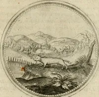 Picture 522 of 544 from Symboloru[m] & emblematum ex re herbaria desumtorum centuria vna[-quarta] collecta (1654), leaf 784